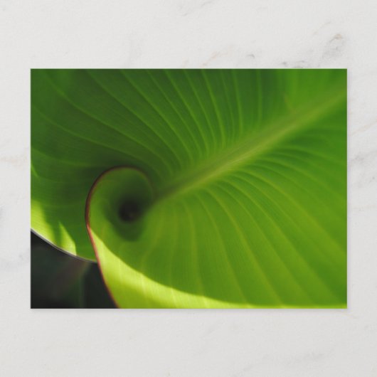 Green Leaf Swirl Postkarte (Vorderseite)