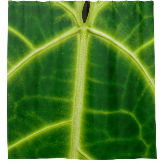 Green-leafed plant duschvorhang (Vorderseite)