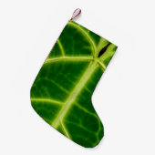 Green-leafed plant kleiner weihnachtsstrumpf (Vorderansicht (hängend))