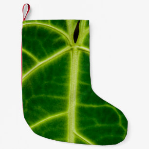 Green-leafed plant kleiner weihnachtsstrumpf