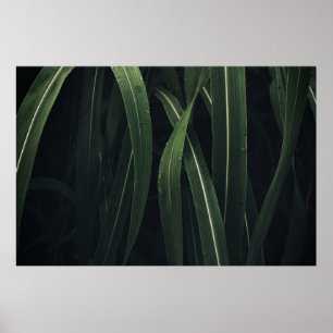 GREEN-LEAFED PLANT POSTER