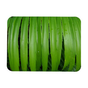Green Leafs 3"x4" Magnet
