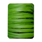 Green Leafs 3"x4" Magnet (Vertikal)
