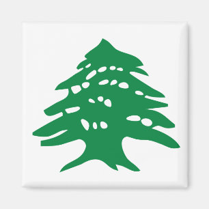 Green Libanon Cedar Magnet