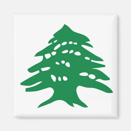 Green Libanon Cedar Magnet (Vorne)