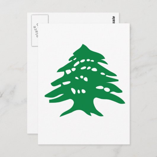 Green Libanon Cedar Postkarte (Vorne/Hinten)