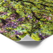 Green Lichen auf Tree Bark Nature Poster (Ecke)