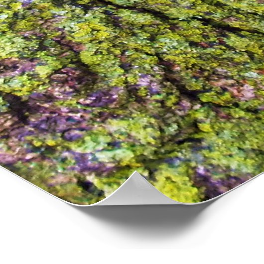 Green Lichen auf Tree Bark Nature Poster (Ecke)