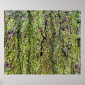 Green Lichen auf Tree Bark Nature Poster (Vorne)