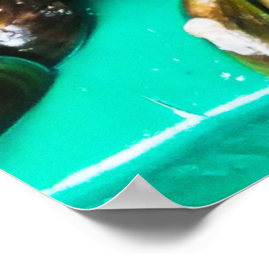 Green Lipped Mussels For Sale Poster (Ecke)