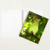 Green Little Parrot Bird  Planer (Anzeige)