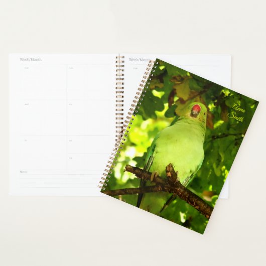 Green Little Parrot Bird  Planer (Anzeige)