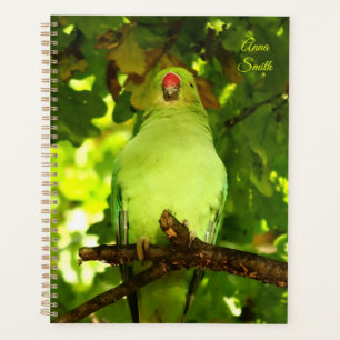 Green Little Parrot Bird Planer