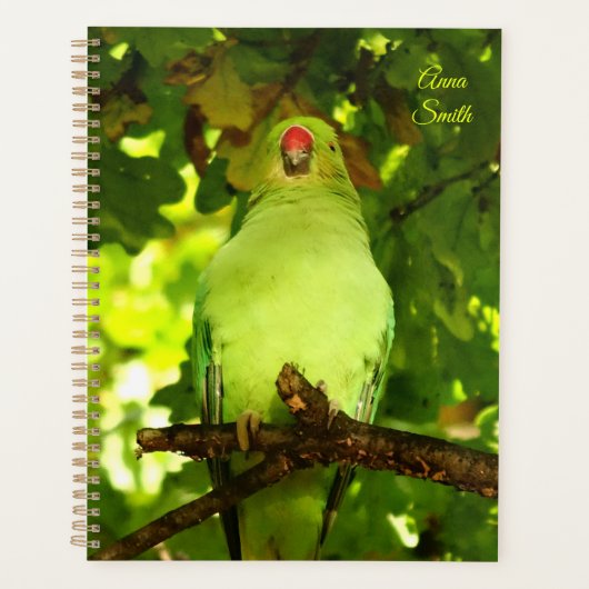 Green Little Parrot Bird  Planer (Vorderseite)