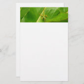 Green Lizard auf grünem Leaf Briefpapier (Vorne/Hinten)