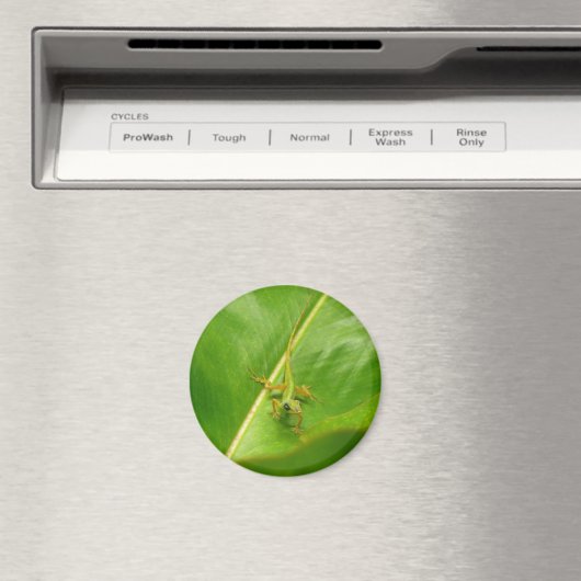 Green Lizard auf grünem Leaf Magnet (In Situ (Geschirrspüler))