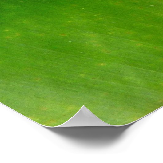 Green Lizard auf grünem Leaf Poster (Ecke)