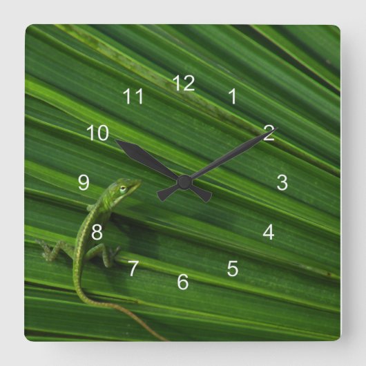 Green Lizard Clock Quadratische Wanduhr (Vorderseite)