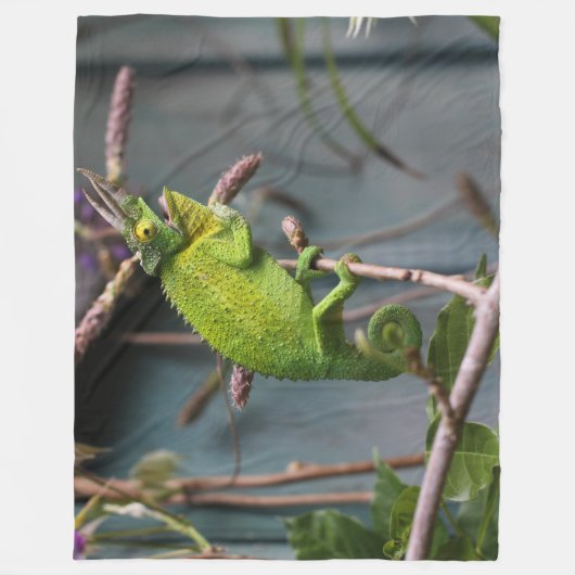 GREEN LIZARD FLEECEDECKE (Vorderseite)