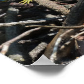 Green Lizard Foto Prints Poster (Ecke)