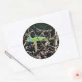 Green Lizard Foto Sticker (Umschlag)