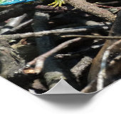 Green Lizard Foto Value Poster Paper (Ecke)