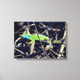 Green Lizard Foto Wrapper Leinwand