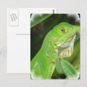 Green Lizard Postcard Postkarte (Vorne/Hinten)