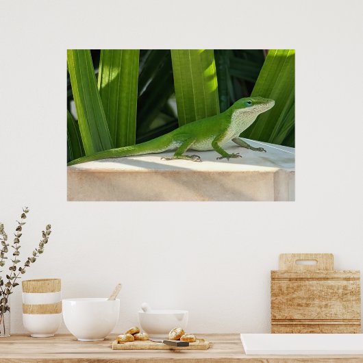 Green lizard Poster (Küche)