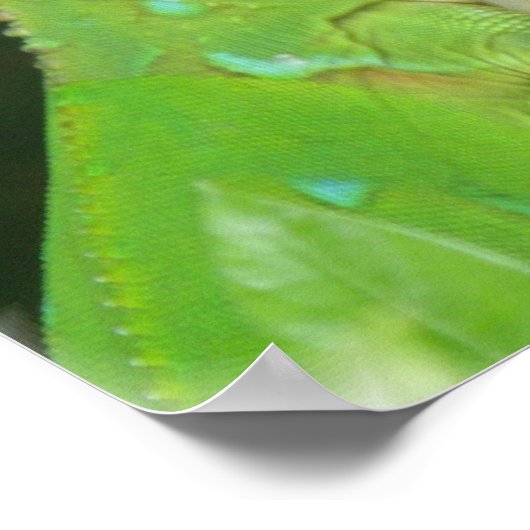 Green Lizard Poster Print (Ecke)