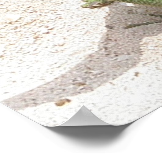 Green Lizard Print Poster (Ecke)