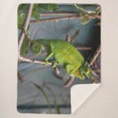 GREEN LIZARD SHERPADECKE (Vorderseite)