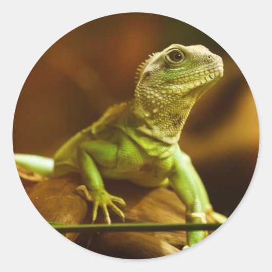 Green Lizard Sticker (Vorderseite)