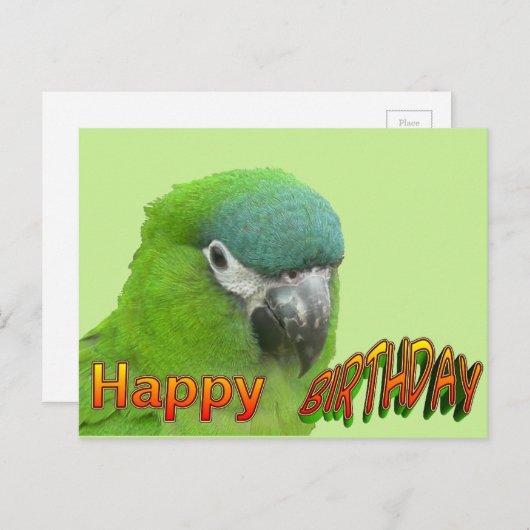 Green Lorikeet Happy Birthday Cust. Postkarte (Vorne/Hinten)