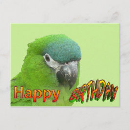 Green Lorikeet Happy Birthday Cust. Postkarte