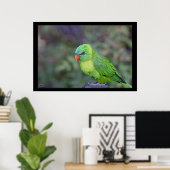 Green Lorikeet Poster (Heimbüro)