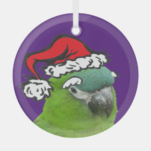 Green Lorikeet Santa Glass Ornament Aus Glas