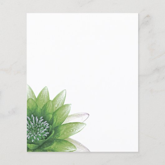 Green Lotus Flyer (Hinten)