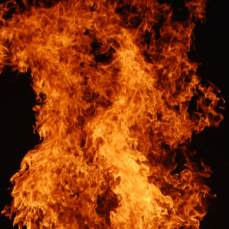 Green Love Zweifarbige Tasse