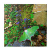 Green Luna Moth Fliese (Vorderseite)