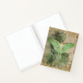 Green Luna Moth Notebook Notizblock (Innenseite)
