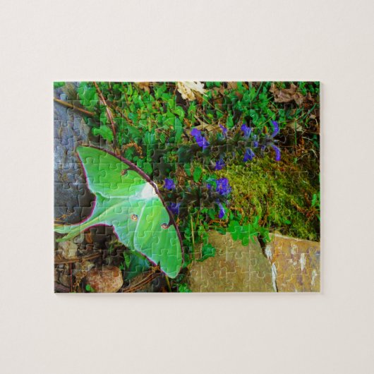 Green Luna Moth Puzzle (Horizontal)