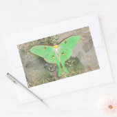 Green Luna Moth Rechteckige Aufkleber (Umschlag)