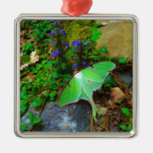 Green Luna Moth Silbernes Ornament