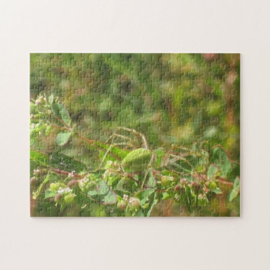 Green Lynx Spider Puzzle (Horizontal)
