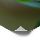 Green Madagascan Day Gecko Poster (Ecke)
