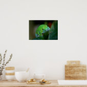 Green Madagascan Day Gecko Poster (Küche)