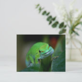 Green Madagascan Day Gecko Postkarte (Stehend Vorderseite)