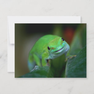 Green Madagascan Day Gecko Postkarte