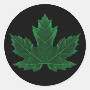 Green Maple Leaf Sticker
